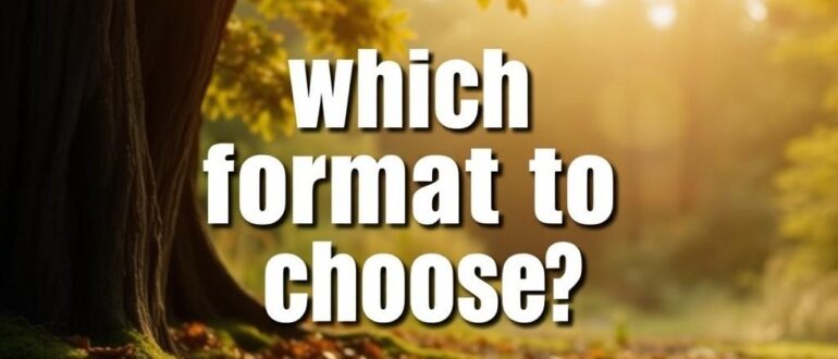 Текст видео или фото какой формат выбрать